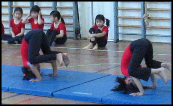 Gym 012.jpg